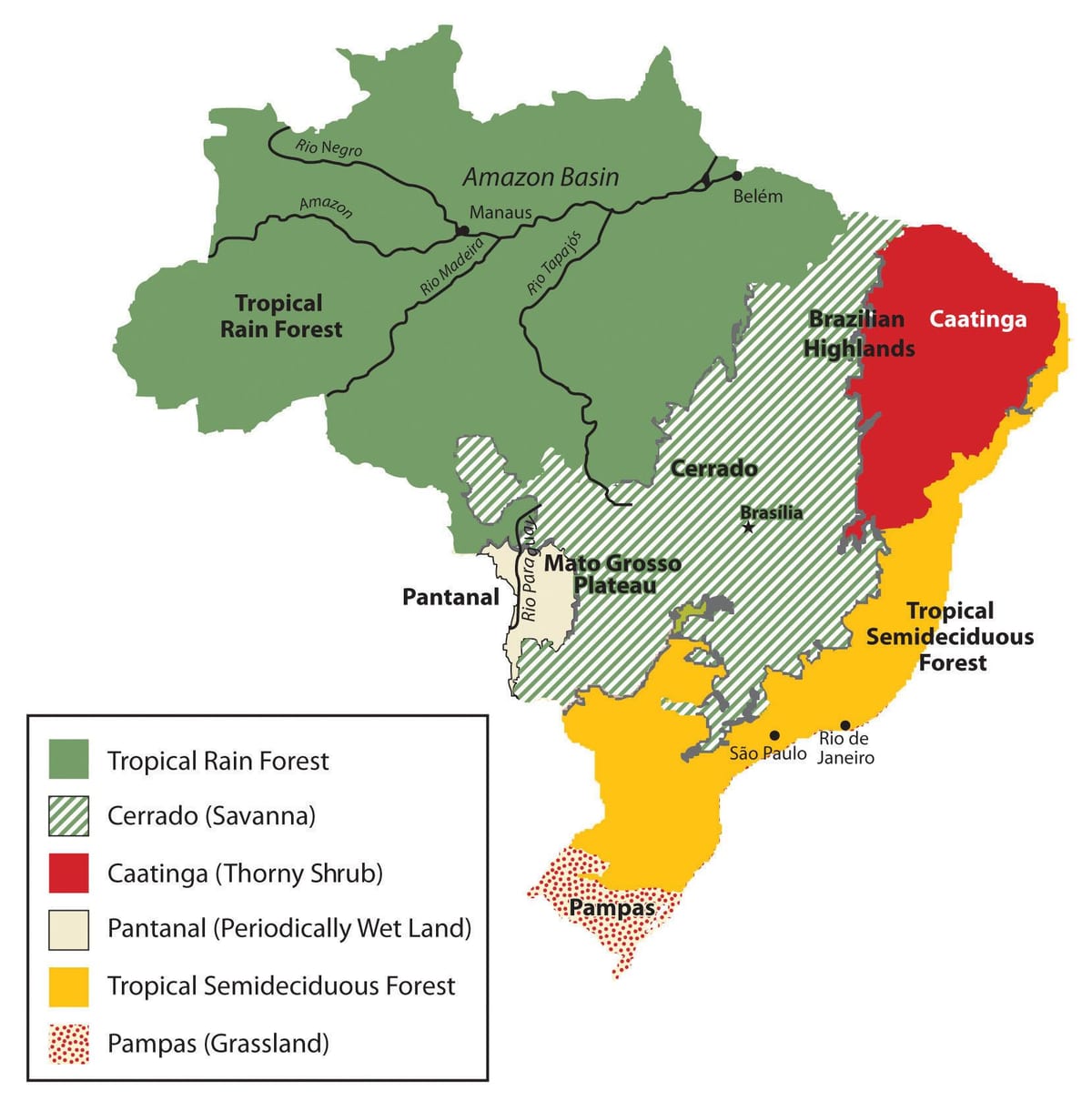 kaart van Brazilië vegetatie