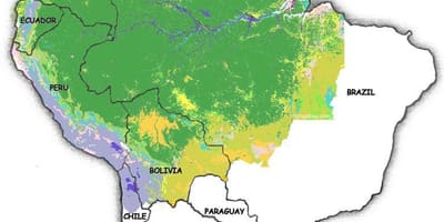 Kaart van Brazilië bossen