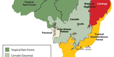 Kaart van Brazilië vegetatie