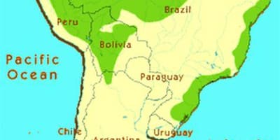 Regenwoud in Brazilië kaart